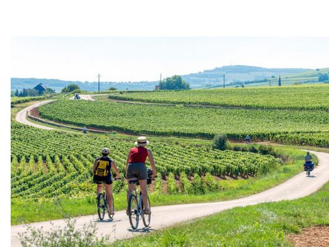 Camping Les Premières Vignes - Camping Côte-d'Or