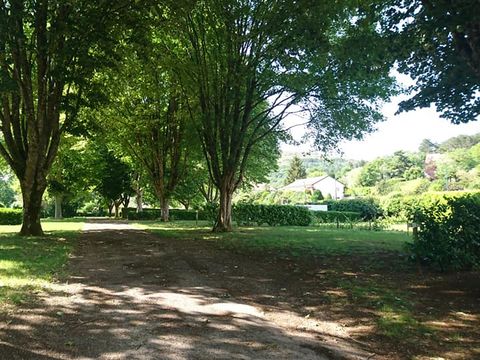 Camping Les Premières Vignes - Camping Côte-d'Or - Image N°11