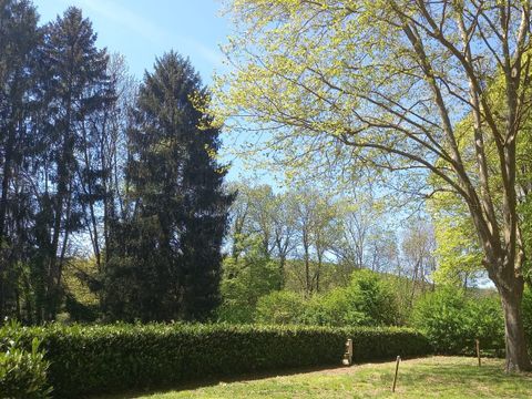 Camping Les Premières Vignes - Camping Côte-d'Or - Image N°12