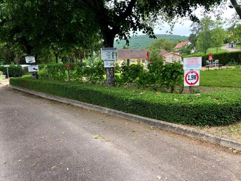 Camping Les Premières Vignes - Camping Côte-d'Or - Image N°19
