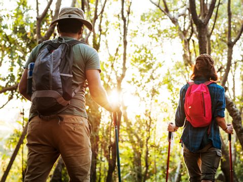 Camping Les Premières Vignes - Camping Côte-d'Or - Image N°2