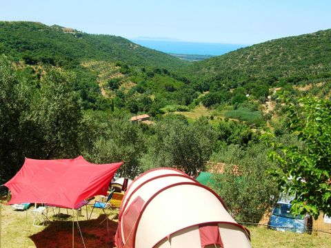 Emplacement - Emplacement Grand: voiture ou moto + tente/caravane ou camping-car + électricité