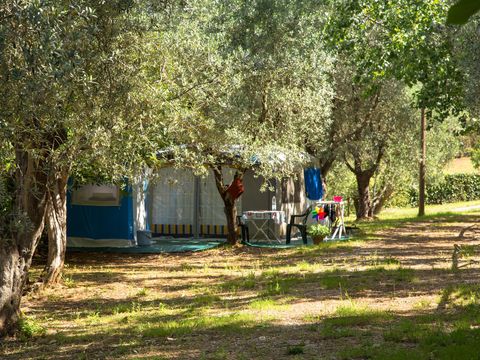 Emplacement - Emplacement Grand: voiture ou moto + tente/caravane ou camping-car + électricité