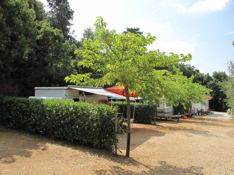 Emplacement - Emplacement Grand: voiture ou moto + tente/caravane ou camping-car + électricité