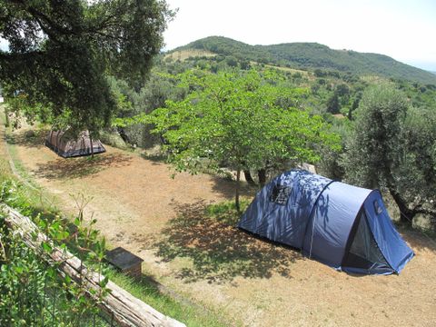 Emplacement - Emplacement Grand: voiture ou moto + tente/caravane ou camping-car + électricité