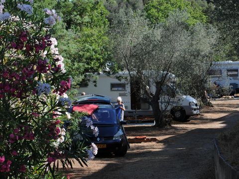 Emplacement - Emplacement Grand: voiture ou moto + tente/caravane ou camping-car + électricité