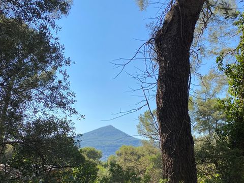Camping de La Lezardière - Camping Var - Image N°8