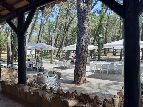 Camping La Bolera - Camping Grenade - Image N°3