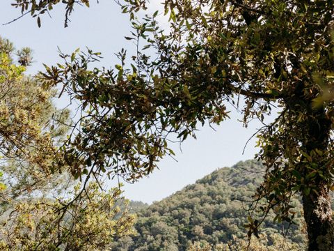 Slow Village Anduze - Camping Gard - Image N°32