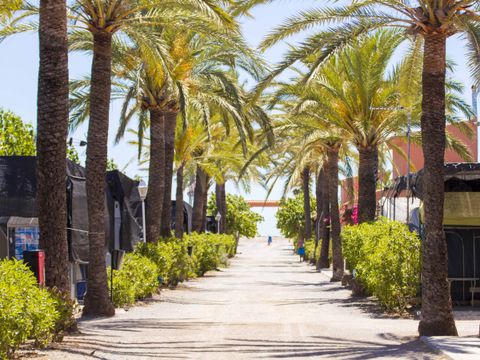 Camping le Chilches - Camping Castellón - Image N°5