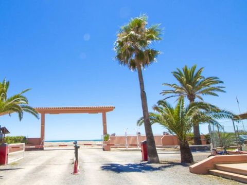 Camping le Chilches - Camping Castellón - Image N°22