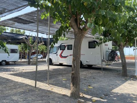 Camping le Chilches - Camping Castellón - Image N°8