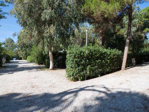 Camping Villagio dei Pini - Camping Salerne - Image N°11