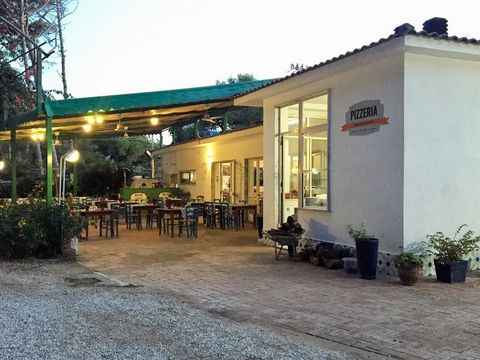 Camping Villagio dei Pini - Camping Salerne