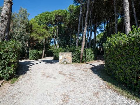 Camping Villagio dei Pini - Camping Salerne - Image N°5