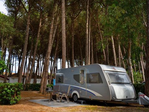 Camping Villagio dei Pini - Camping Salerne - Image N°2