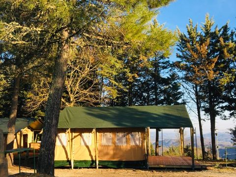 TENTE TOILE ET BOIS 6 personnes - Safari