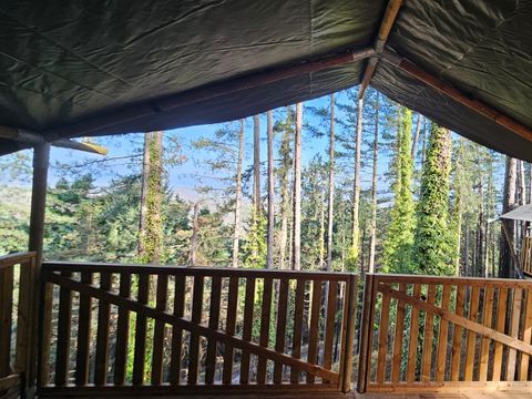 TENTE TOILE ET BOIS 6 personnes - Camping Luna del Monte - Tente Safari 6 personnes