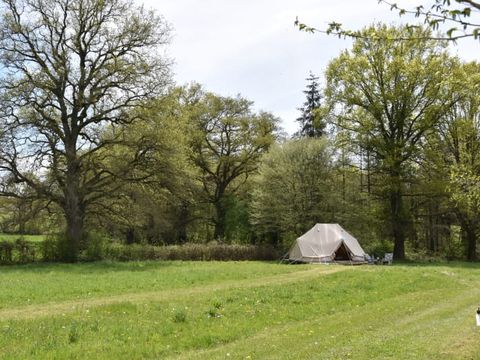 Domaine Bleu Céleste - Camping Allier - Image N°15