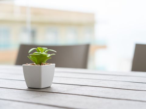 APPARTEMENT 6 personnes - Appartement - 2 chambres 4/6 pers