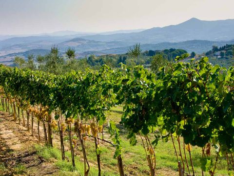 Podere Santa Clorinda - campeggio in Toscana - Camping Grosseto