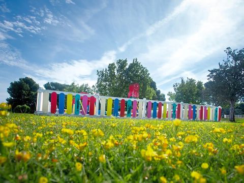 Camping Zaragoza - Camping Saragosse - Image N°19