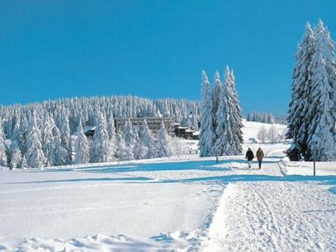 Ferienwohnungen am Feldberg  - Camping Bade-Wurtemberg - Image N°8