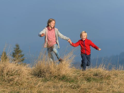 Ferienwohnungen am Feldberg  - Camping Bade-Wurtemberg - Image N°21