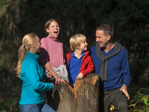 Ferienwohnungen am Feldberg  - Camping Bade-Wurtemberg - Image N°25