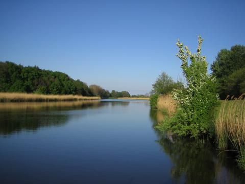 Ferienpark Geesthof - Camping Basse-saxe - Image N°14