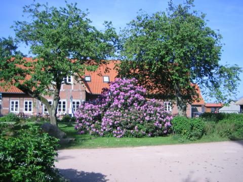 Ferienpark Geesthof - Camping Basse-saxe - Image N°18