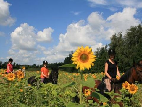 Ferienpark Geesthof - Camping Basse-saxe - Image N°19