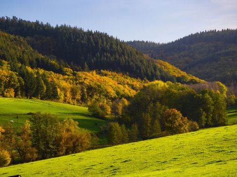 Vodatent Camping Donnersberg - Camping Rhénanie-Palatinat - Image N°16