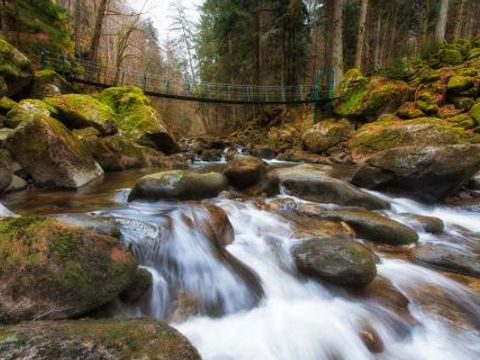 Ferienpark Geyersberg - Camping Bavière - Image N°11
