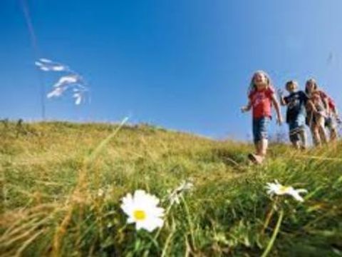 Gustocamp Camping Bella Austria - Camping Styrie - Image N°13