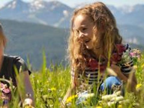 Gustocamp Camping Bella Austria - Camping Styrie - Image N°18