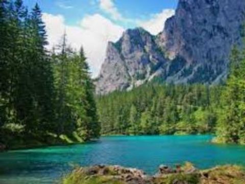 Gustocamp Camping Bella Austria - Camping Styrie - Image N°14