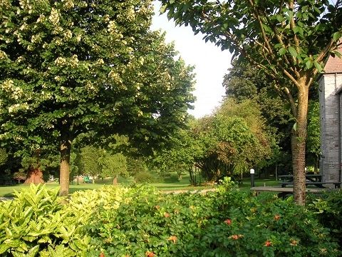 Gîte d'Etape de VillersSteGertrude - Camping Luxembourg - Image N°7