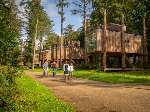 Landal Forest Resort Your Nature  - Camping Hainaut - Image N°42