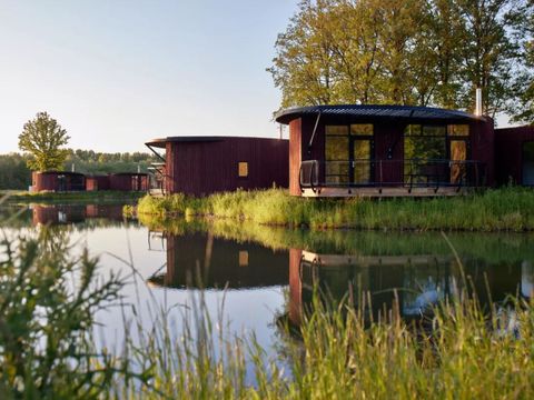 Landal Forest Resort Your Nature  - Camping Hainaut - Image N°32
