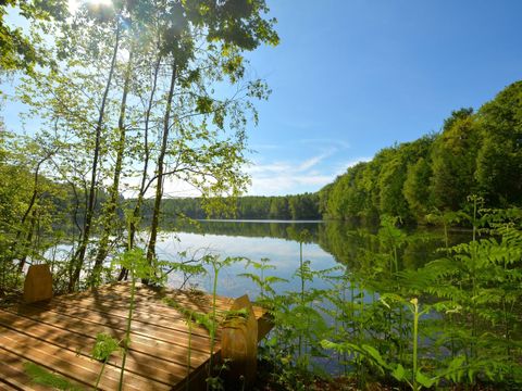 Landal Forest Resort Your Nature  - Camping Hainaut - Image N°11