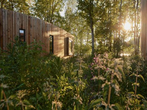 Landal Forest Resort Your Nature  - Camping Hainaut - Image N°33