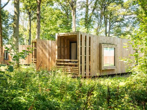 Landal Forest Resort Your Nature  - Camping Hainaut - Image N°41
