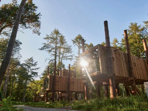 Landal Forest Resort Your Nature  - Camping Hainaut - Image N°2