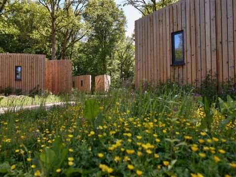 Landal Forest Resort Your Nature  - Camping Hainaut - Image N°47