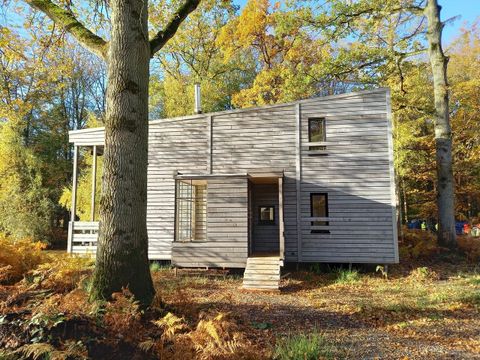 Landal Forest Resort Your Nature  - Camping Hainaut - Image N°37