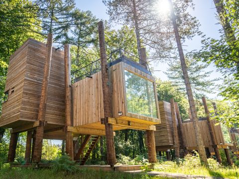 Landal Forest Resort Your Nature  - Camping Hainaut - Image N°4