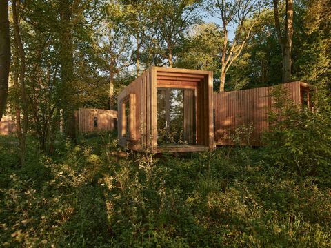 Landal Forest Resort Your Nature  - Camping Hainaut - Image N°31