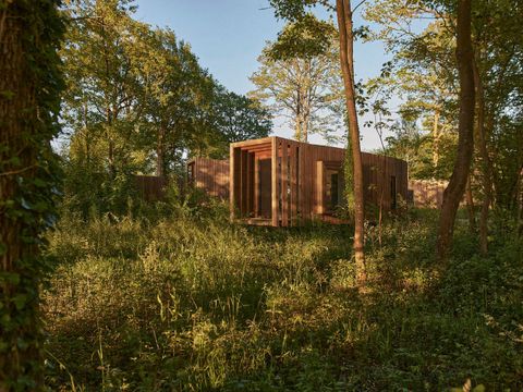 Landal Forest Resort Your Nature  - Camping Hainaut - Image N°30