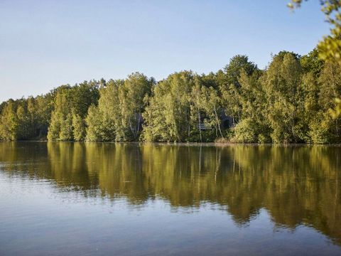 Landal Forest Resort Your Nature  - Camping Hainaut - Image N°53